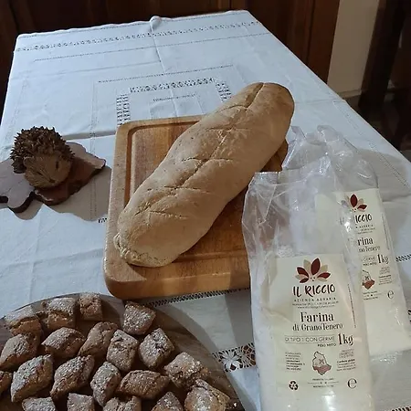 Farm stay Il Riccio *