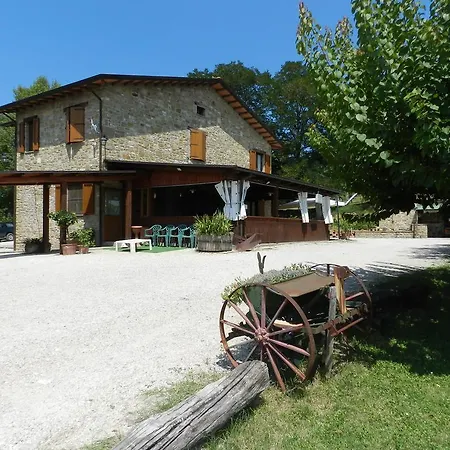 Il Riccio * Morleschio