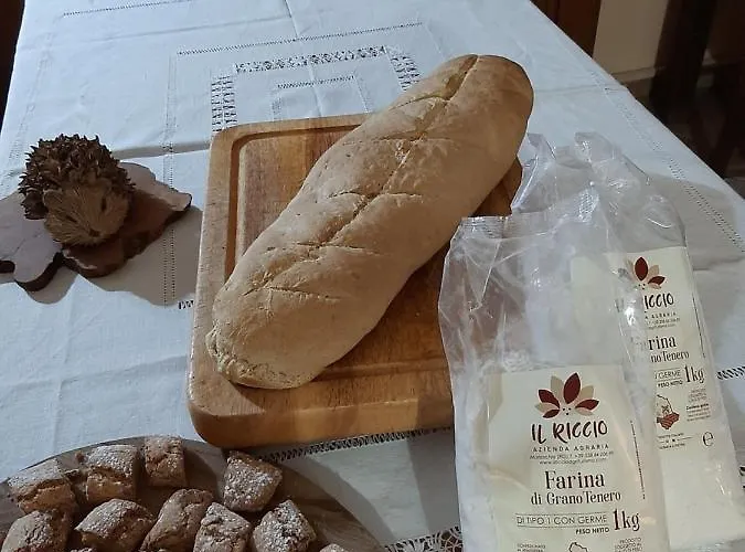 Séjour à la ferme Il Riccio *