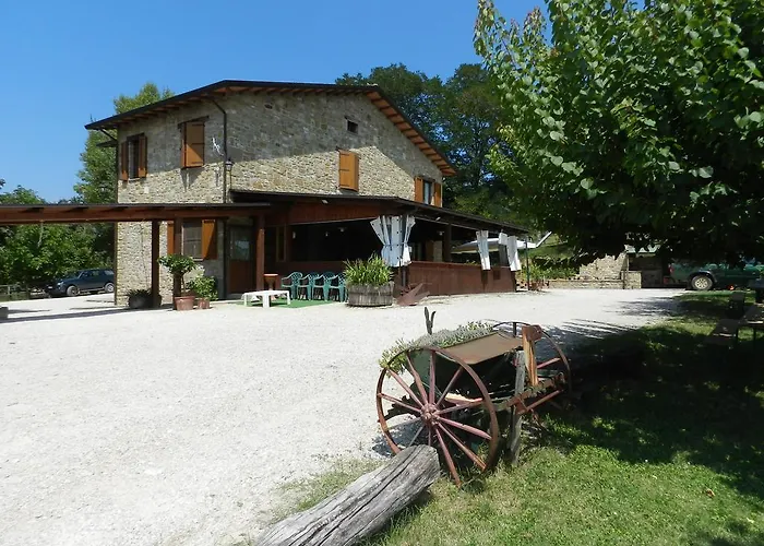 Il Riccio * Morleschio